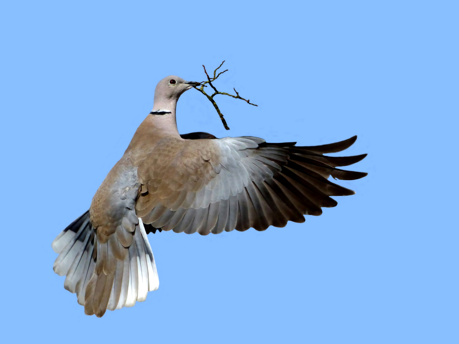 534